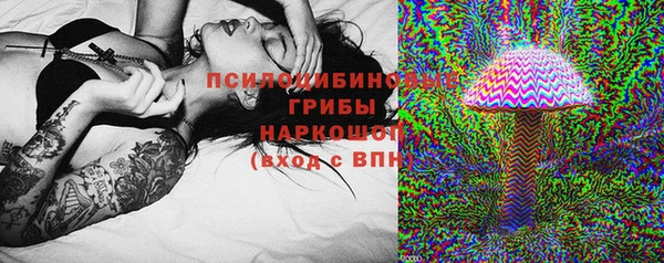 эйфоретик Белокуриха