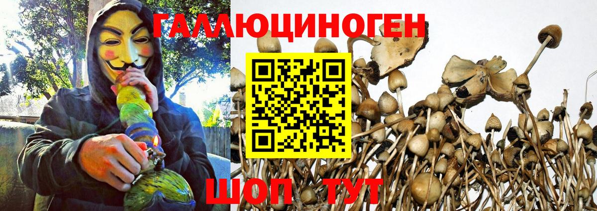 Псилоцибиновые грибы MAGIC MUSHROOMS Кузнецк